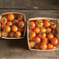 Tomato - Sungold