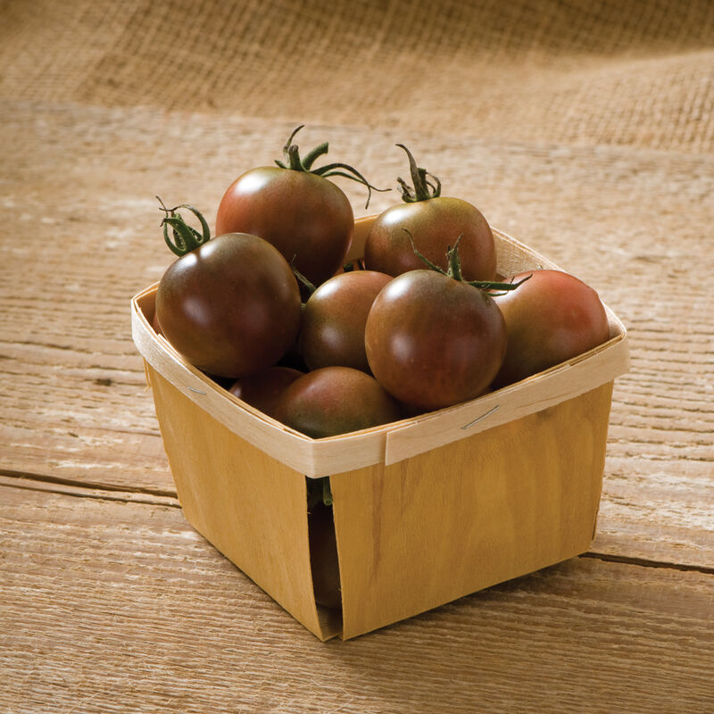 Tomato - Black Cherry