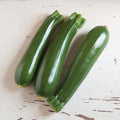 Zucchini - Dunja