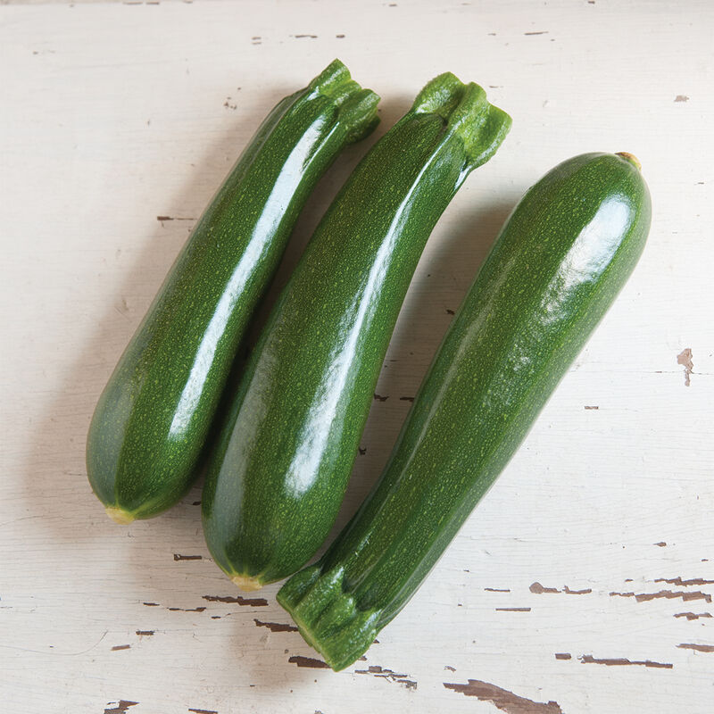 Zucchini - Dunja