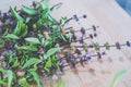 Basil - Thai