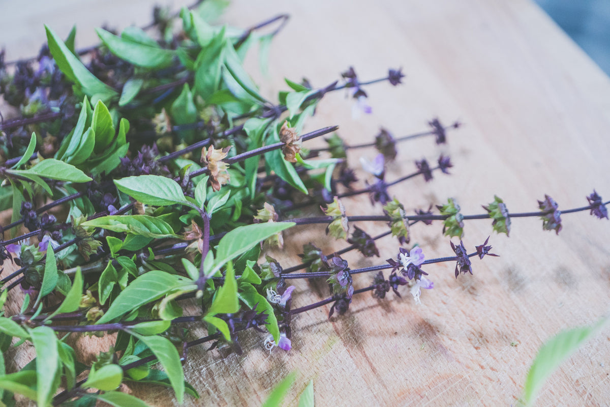 Basil - Thai